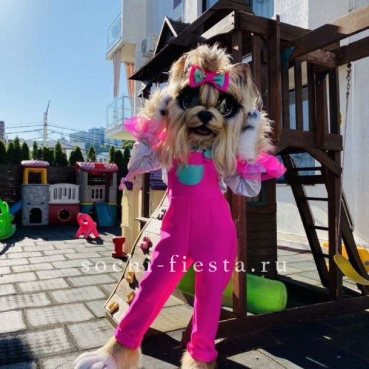 Аниматор Гламурная Собака в Магнитогорске
