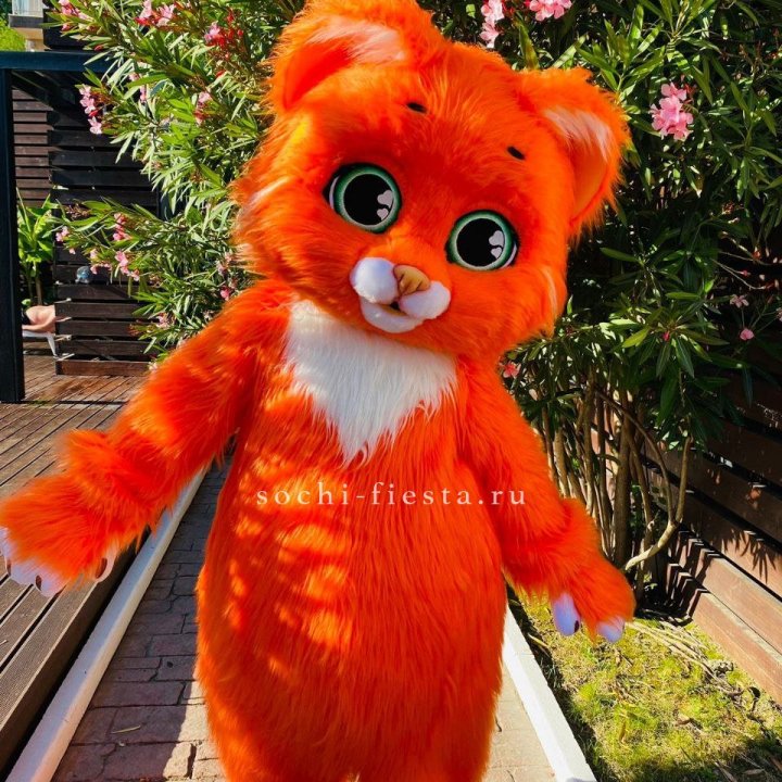 Аниматор Котик в Магнитогорске