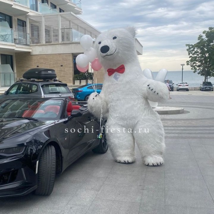 Аниматор Белый Медведь в Магнитогорске