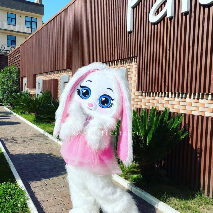 Аниматор Зайка в Магнитогорске