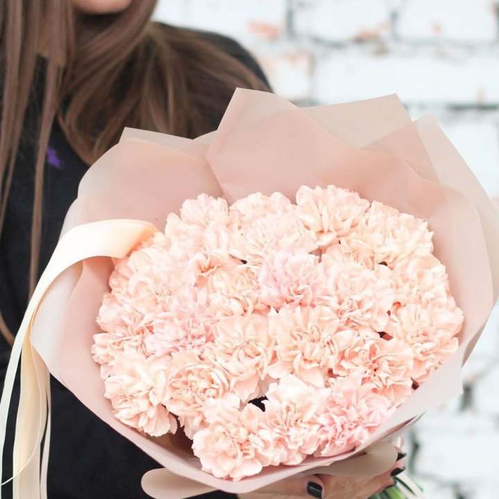 Диантусы №2 в Магнитогорске