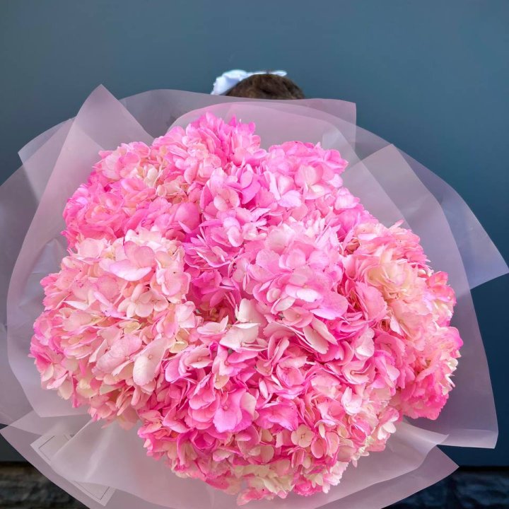 9 ярко розовых гортензий в Магнитогорске