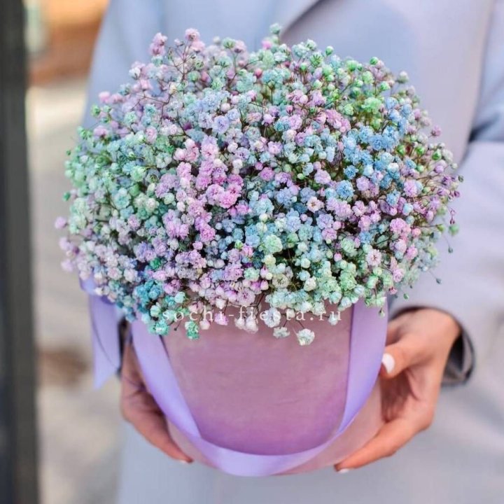 Гипсофилы в шляпной коробке "Кандилайт" в Магнитогорске