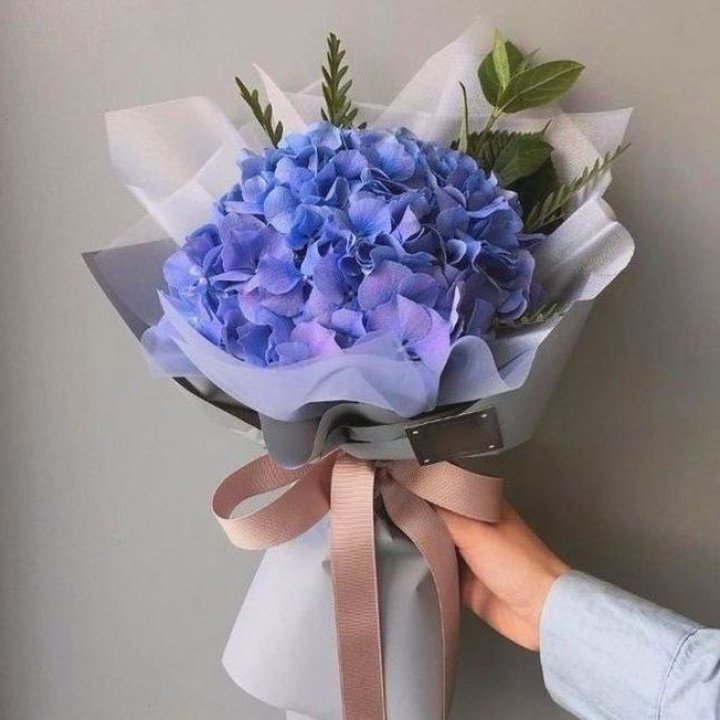 Гортензия голубая в Магнитогорске