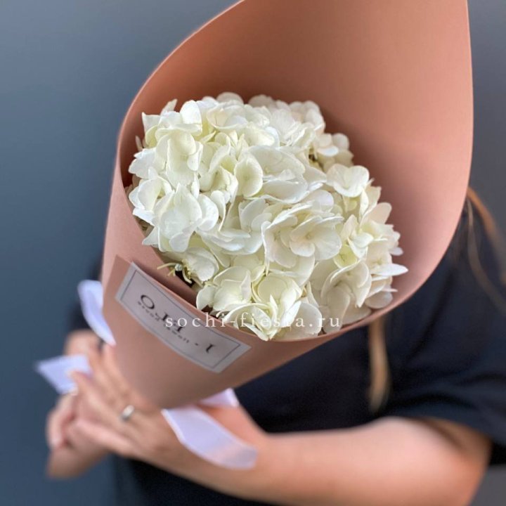 Гортензия в конверте в Магнитогорске