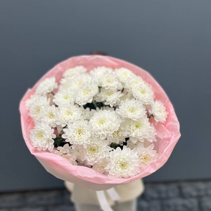  5 хризантем  в Магнитогорске