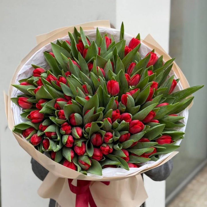 101 красный тюльпан в Магнитогорске