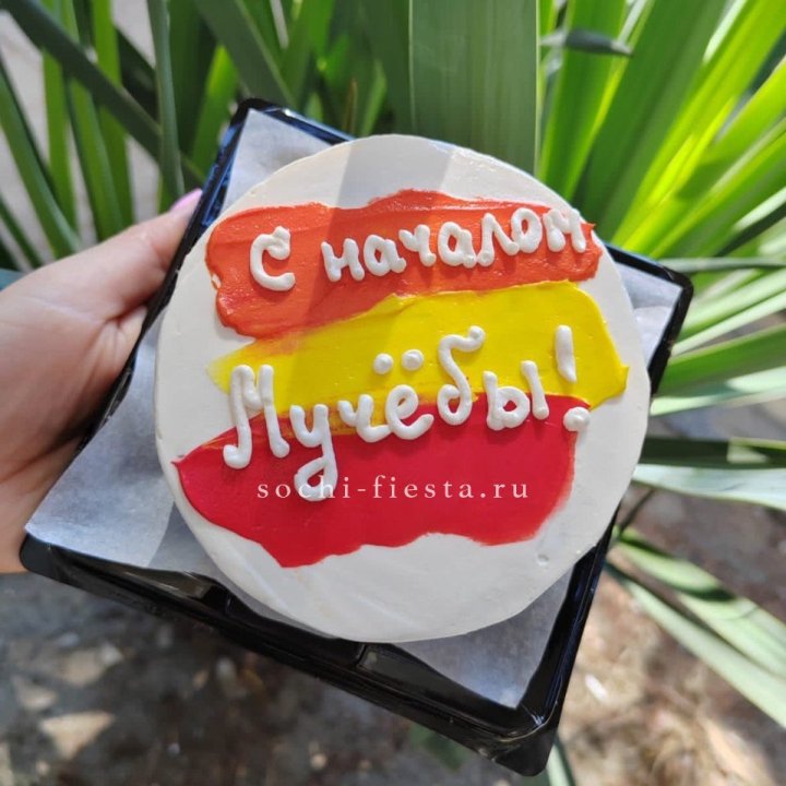 Бенто-торт "С началом учёбы"" в Магнитогорске