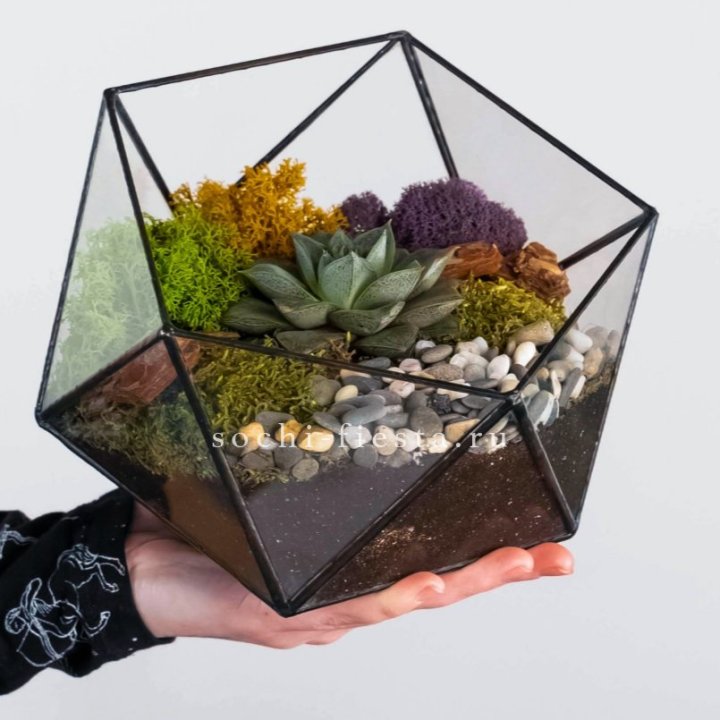 Флорариум “Икосаэдр” с суккулентом Каменная Роза в Магнитогорске