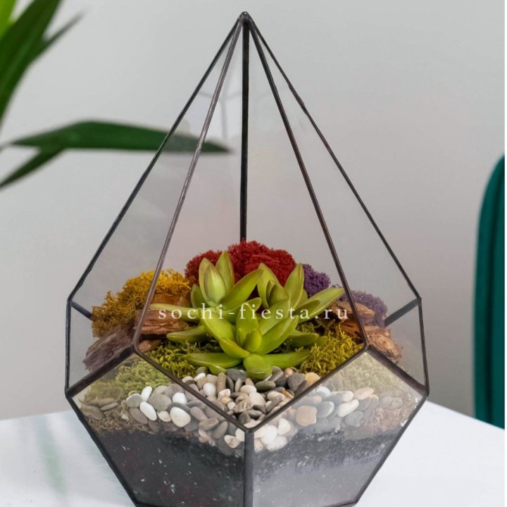 Флорариум Капля с суккулентом в Магнитогорске