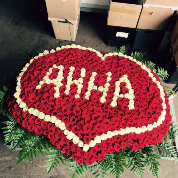 555 роз с именем в Магнитогорске