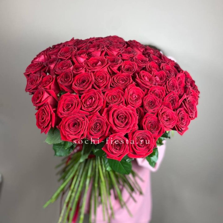 101  голландская роза  в Магнитогорске