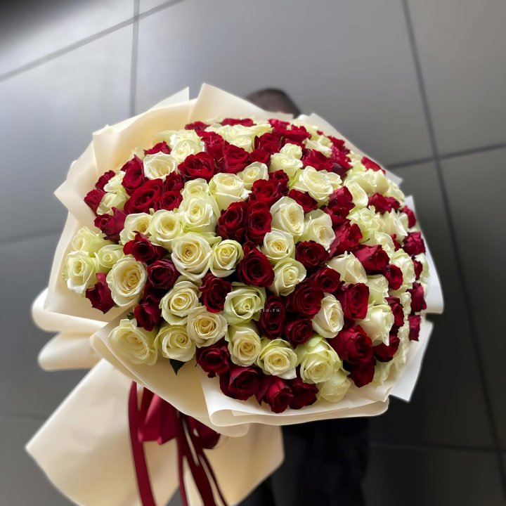 101 высокая импортная роза  в Магнитогорске