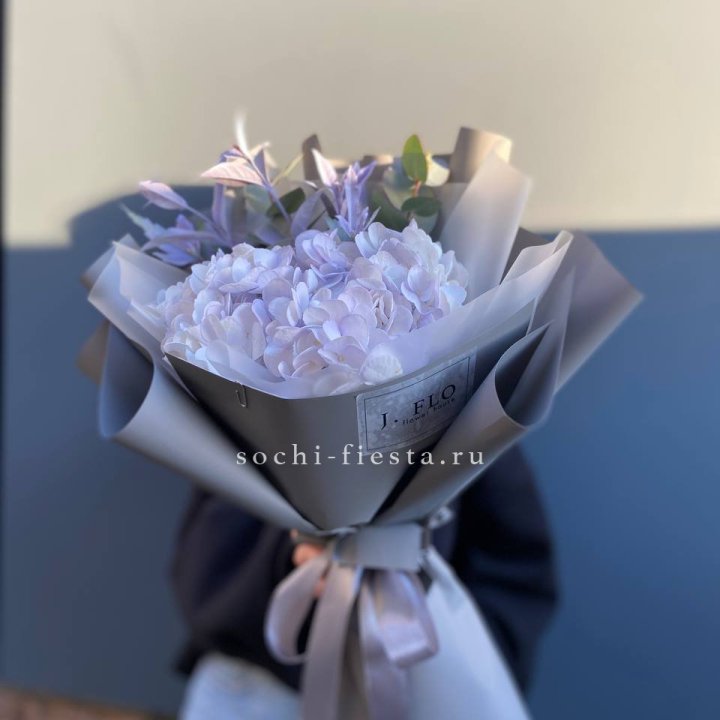 Гортензия "Виолета" в Магнитогорске