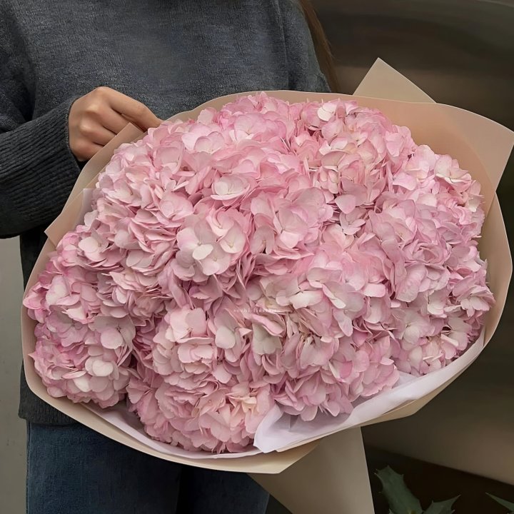 Гортензия  "РОЗЕ" в Магнитогорске