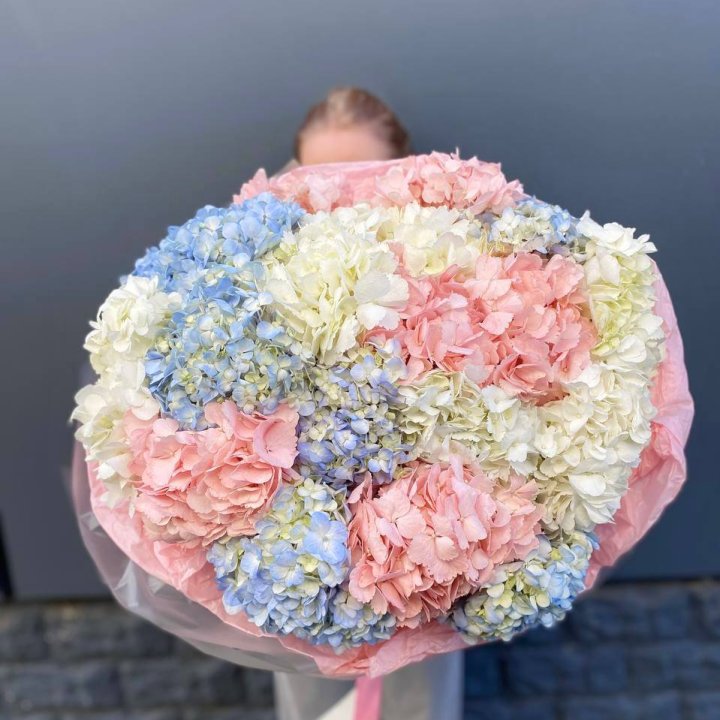 19 гортензий микс в Магнитогорске