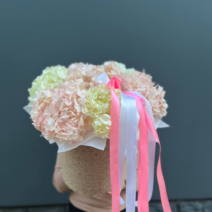 7 гортензий в кашпо в Магнитогорске