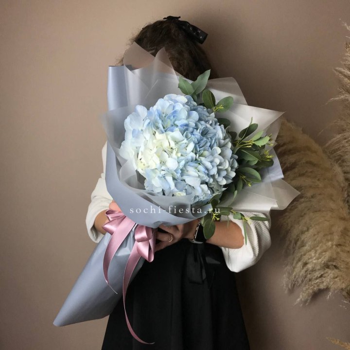 Гортензия Уно в Магнитогорске