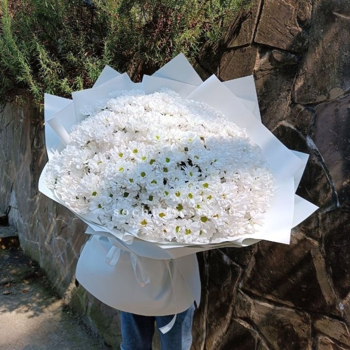 Облако хризантем №2 в Магнитогорске