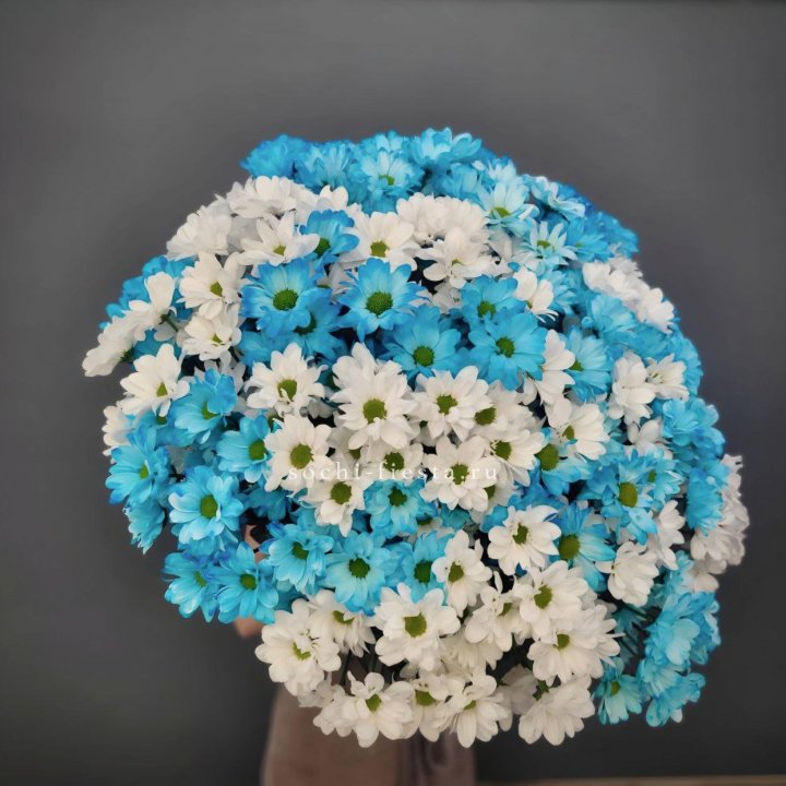  Букет хризантем микс в Магнитогорске