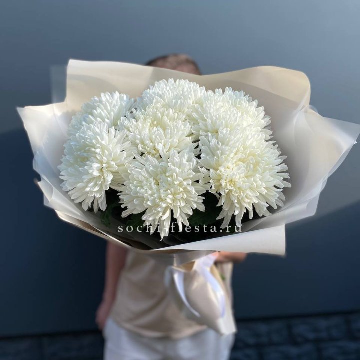 Профитроли в Магнитогорске