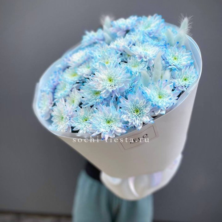  Букет нежно-голубых хризантем  в Магнитогорске