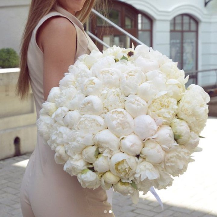 51 белый пион в Магнитогорске