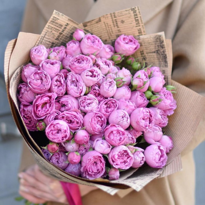 Роза Мисти Баблс в Магнитогорске