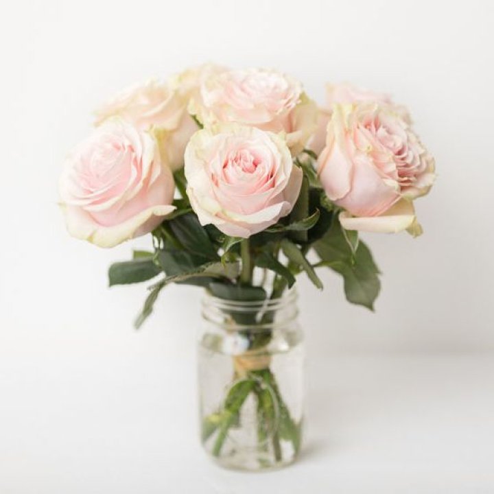 7 кремовых роз в Магнитогорске