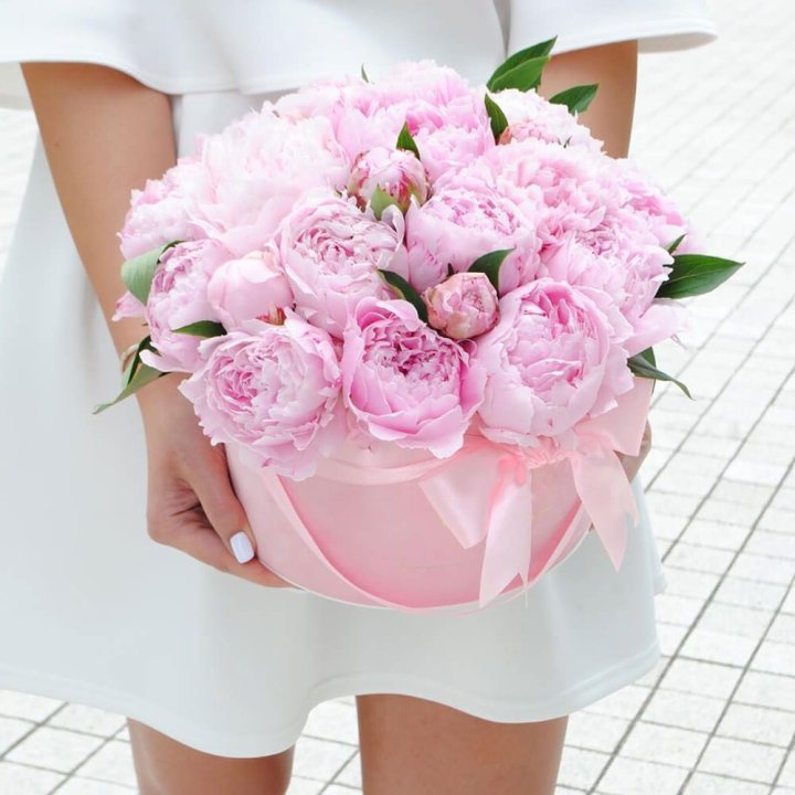 Пионы в шляпной коробке в Магнитогорске