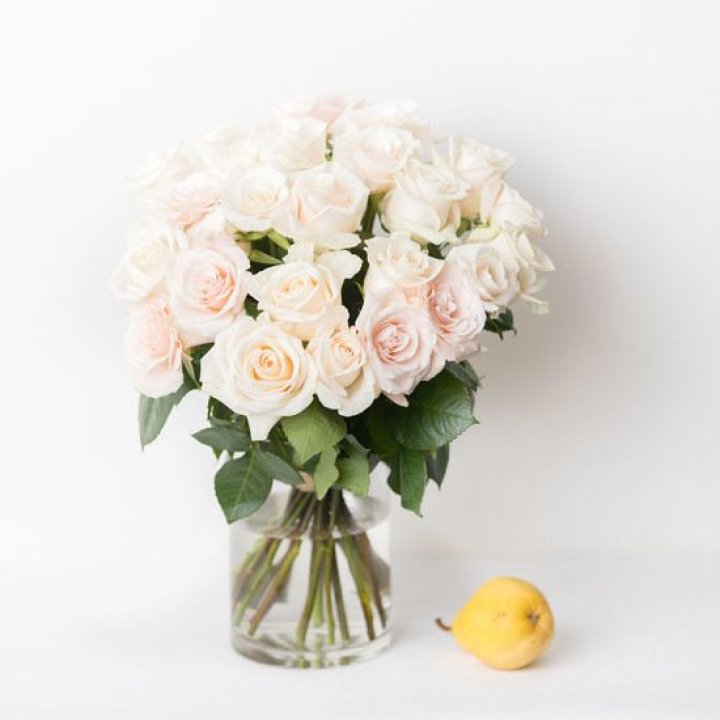 25 кремовых роз в Магнитогорске