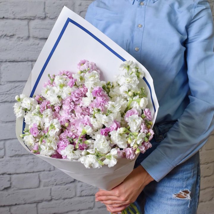 Маттиола в Магнитогорске