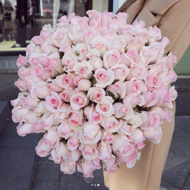 Розы "Пинк бум" в Магнитогорске