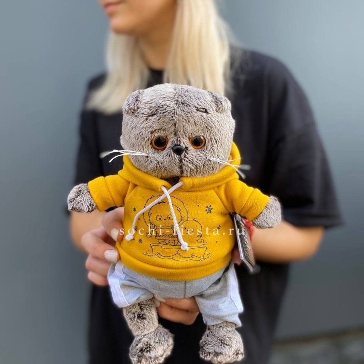 Кот Басик в худи в Магнитогорске