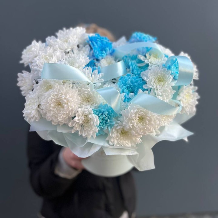 Хризнтемы в боксе в Магнитогорске