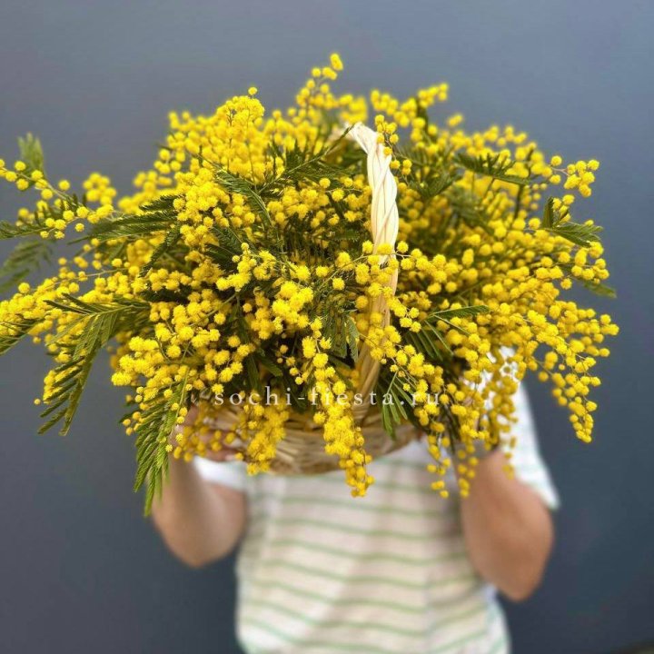 Весенняя корзина мимозы в Магнитогорске