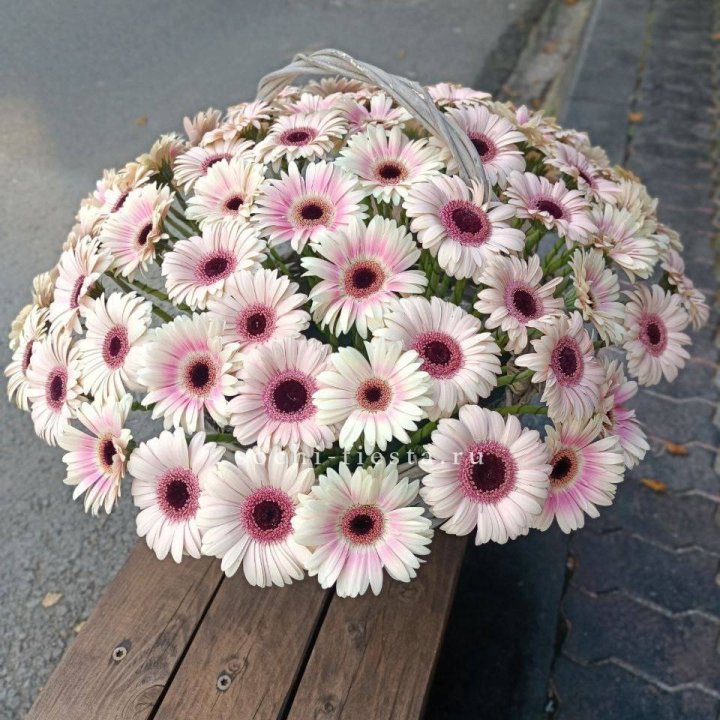 Корзина с герберами  в Магнитогорске