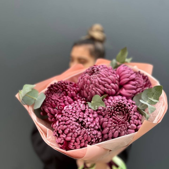 Хризантемы  Бигуди  в Магнитогорске