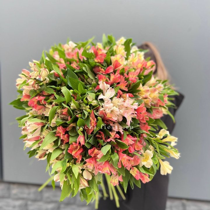 51 альстромерия в Магнитогорске