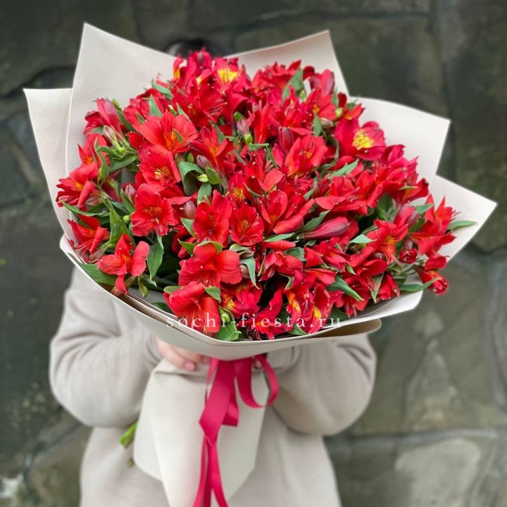 51 альстромерия в Магнитогорске