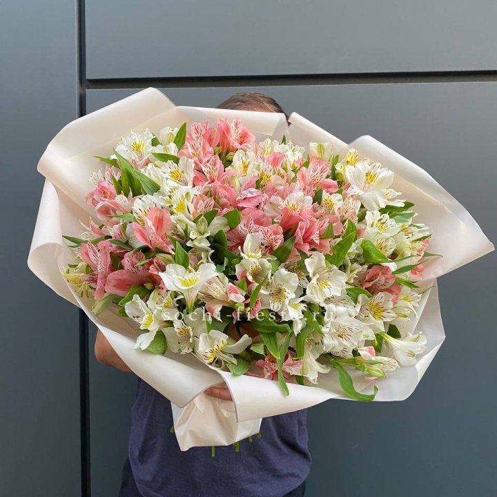 39 альстромерий в Магнитогорске