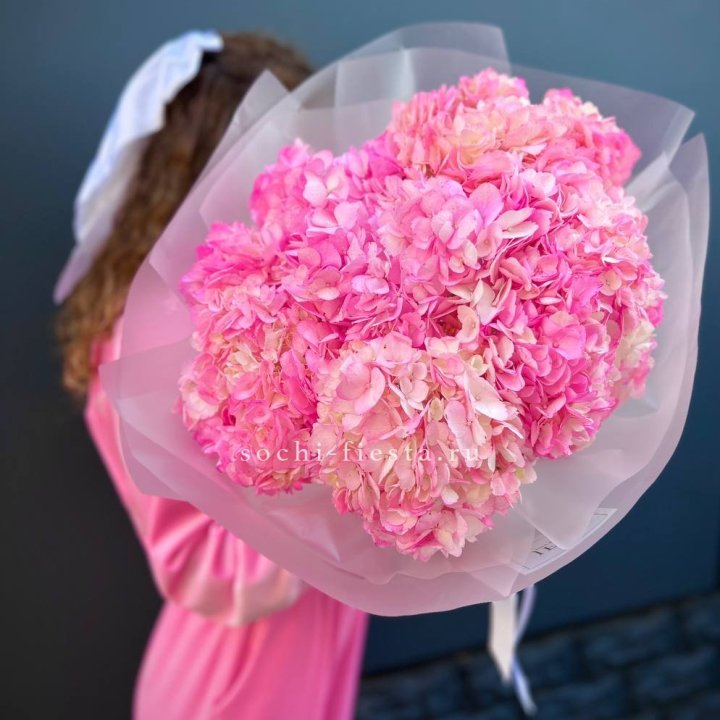 7 ярко розовых гортензий в Магнитогорске