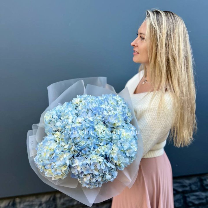 7 голубых гортензий в Магнитогорске