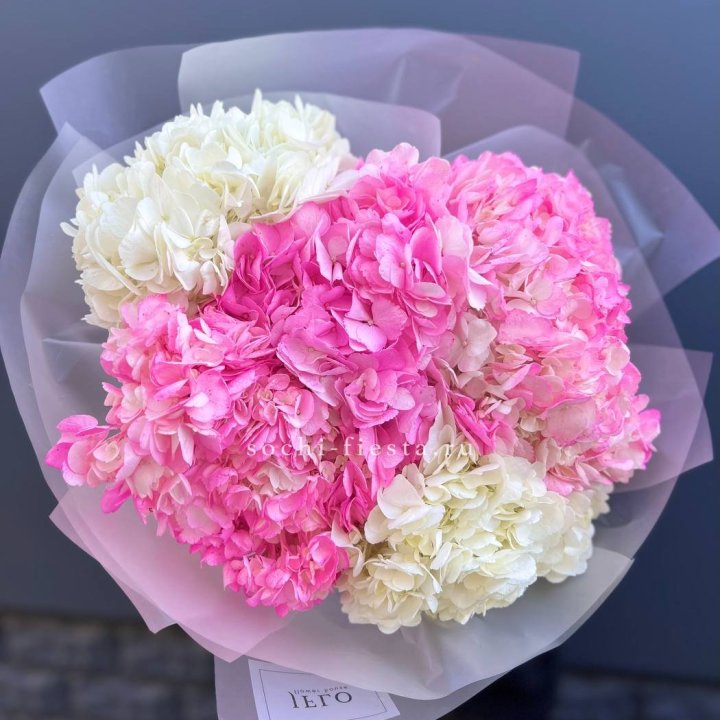 5 бело-розовых гортензий в Магнитогорске