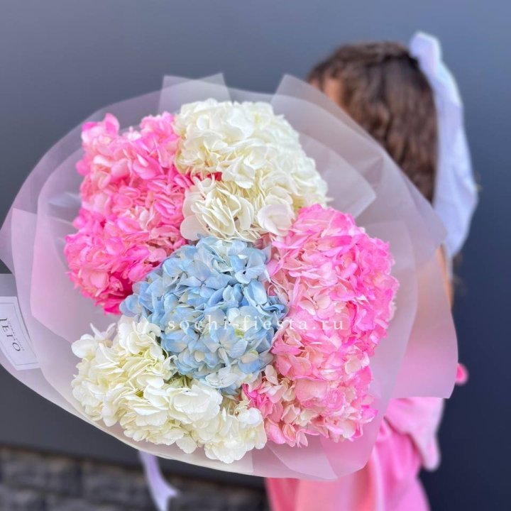 7 гортензий микс в Магнитогорске
