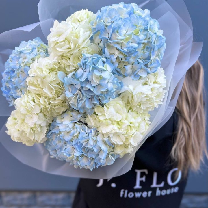 9 бело-голубых гортензий в Магнитогорске