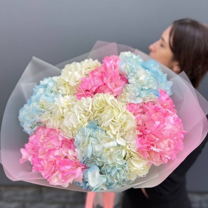 9 гортензий микс в Магнитогорске