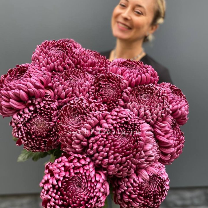 Охапка хризантем Бигуди в Магнитогорске