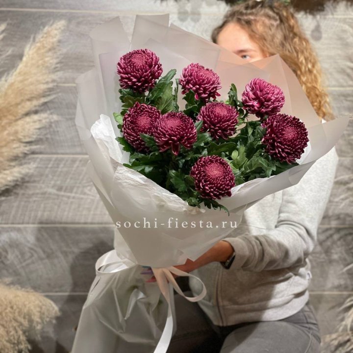 Хризантемы Бигуди в Магнитогорске