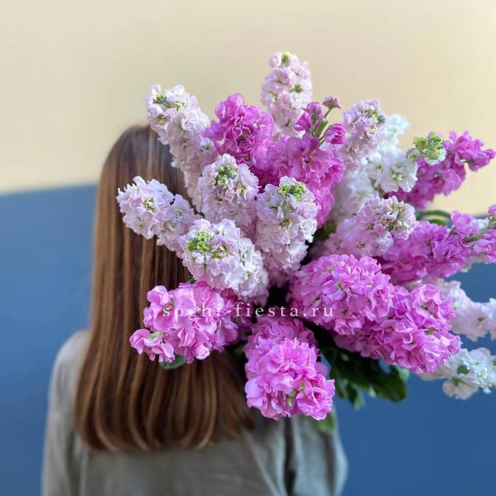 Охапка маттиолы в Магнитогорске